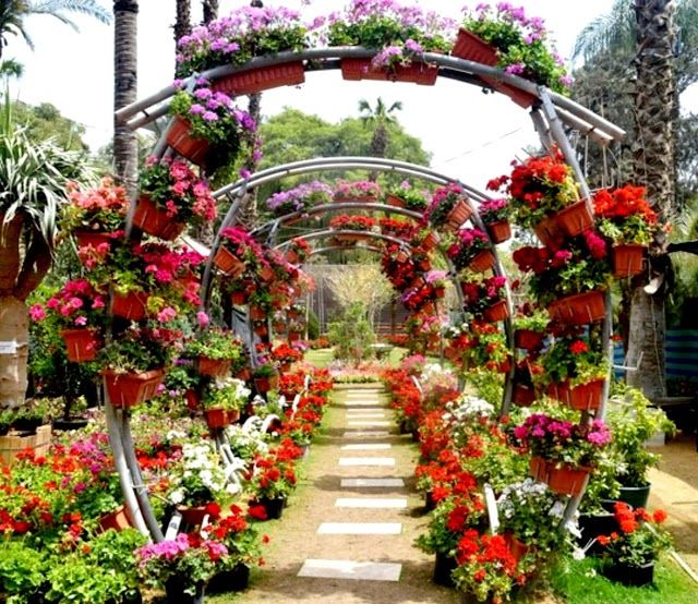 Orman Botanical Gardens